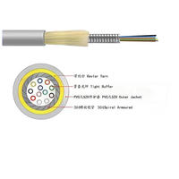 Câble blindé en spirale en acier inoxydable 304 avec gaine en nylon ignifuge pour intérieur, dédié aux urgences FTTH, fabriqué par ZXOFC Source Factory