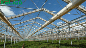 Thương mại chất lượng cao lớn có thể thu vào mái nhà kính để bán - Product Image 3