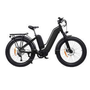Vélo électrique rigide et bon marché, vélo électrique à mi-moteur, vélo électrique dapu à double batterie, gros vélo électrique - Product Image 5