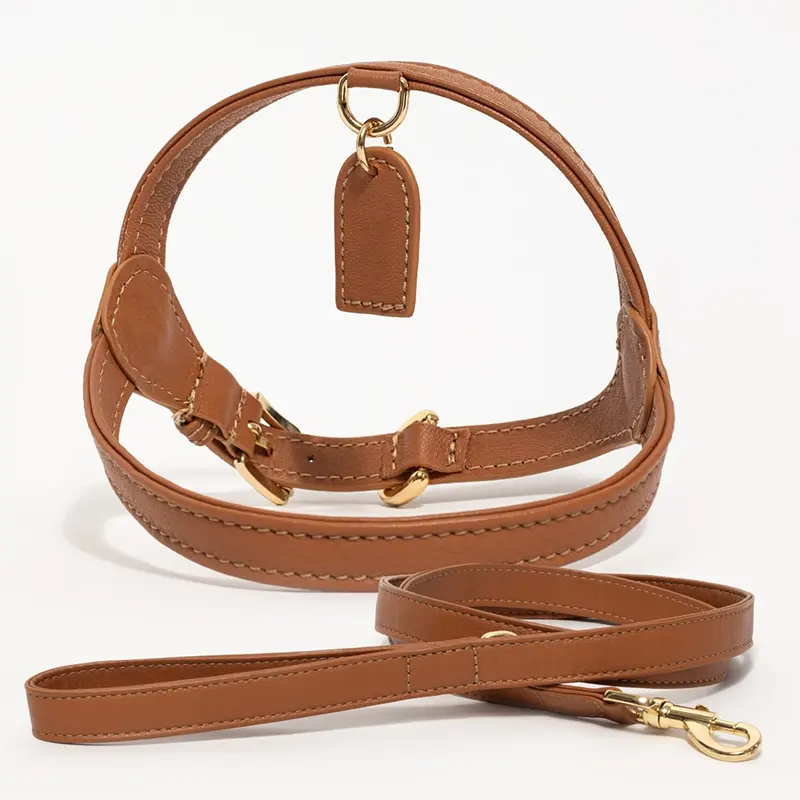 Ensemble harnais réglable en cuir véritable personnalisé de haute qualité en cuir de luxe pour chien de compagnie avec laisse