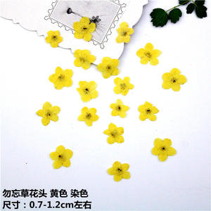 Y-E011 de resina Floral, flor no prensada, flores secas prensadas para joyería, decoración artística de uñas de resina - Product Image 4