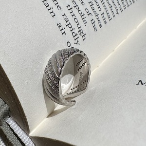 S925 Pure Silver Diagonal <b>Ring</b> Niche Design Simple Lightweight Vintage Style Jewelry Claw Inlay Brushed Open <b>Fingerprint</b> - Product Image 4