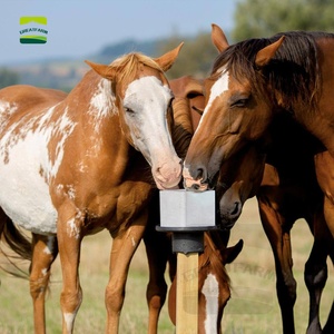 Grote Boerderij 'S Hot Sale Himalayan Zout Likken Blokkeren Mineraal Zoutsupplement Voor Vee En Paarden Veterinair Instrument - Product Image 5