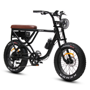 TXED 20 pouces gros pneu vélo 48V 7 vitesses alliage cadre moteur E vélo 250W électrique Touring moto vélo - Product Image 1