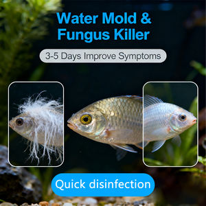 CY Aquatic Safe: Desintoxicante de toxinas almidónicas, eliminación de algas, desinfección de doble función y aditivos para alimento acuático - Product Image 4