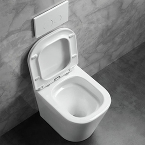 Sistema Filomuro per Bagno, Suite Sanitaria a Parete con Sedile Comfort, Bidet e Doccia, Lussuoso Bagno con WC - Product Image 5