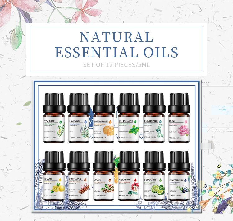 Selling Private Label Aromatherapy Essential Oils 12pcs Oil Set Top & OEM ODM