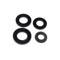 Food Grade DIN Plastic/PA66/Nylon Washers Black & White 4mm 5mm 6mm 2mm 3mm Thickness M2 M2.5 M2.3 M4 M5 M6 M8 with Plain Finish