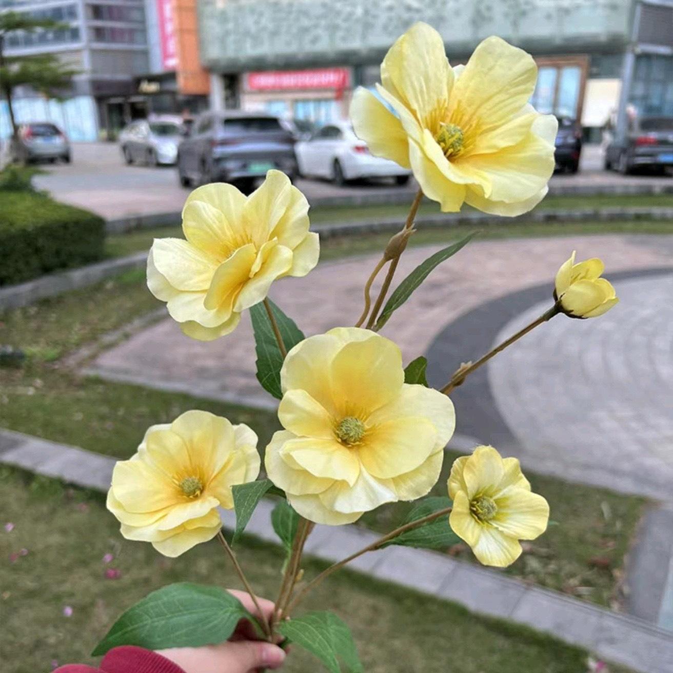 6 cabeza mariposa flor amarilla