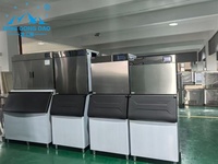 Machine à glaçons commerciale avec bac de stockage et compresseur Emerson en acier inoxydable pour la conservation des fruits de mer, de la viande et de la chaîne du froid