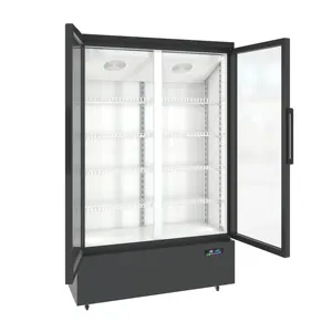 850L Vertical Double Glass Doors Auto Defrost Beer Cooler Commercial Freezer Display