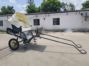 Carroza Eléctrica Hengyisheng para Caballos, Carro de Maratón de Dos Ruedas, Potencia, Otro Estándar de Emisiones, Precio de Fábrica, Origen Henan - Product Image 6