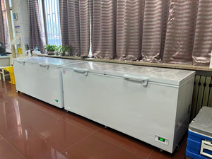 Congélateur ultra basse température 368L -40°C ℃   Équipement de réfrigération de laboratoire, congélateur horizontal et dispositif de banque de sang médicale - Product Image 4