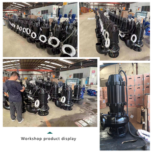 Bomba sumergible de 30hp 22kw para aguas residuales y lodos, drenaje de sótanos, sumideros, aguas sucias, 250WQ500-8-22, hierro fundido, sumergible eléctrico - Product Image 2