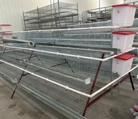 Cages à poules pondeuses neuves de 6 pieds, écologiques, imperméables et sécurisées, vente en gros