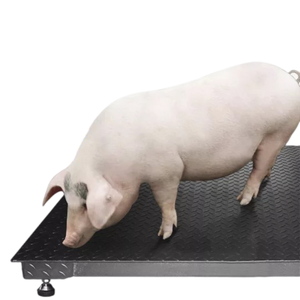 Langlebige digitale 1-Tonnen-Stahl-LED/LCD-Boden waage 1*1m 1000kg Kapazität OEM Anpassbare Waage Genaues Gewicht - Product Image 4