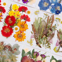 Kit de loisirs créatifs pour spécimens végétaux séchés pour les maternelles, avec fleurs séchées pressées à l'époxy, marque-page et cadre photo en résine époxy