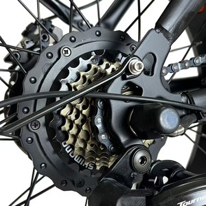 Bicicletta <span class=keywords><strong>Elettrica</strong></span> da Città con Motore Centrale ad Alte Prestazioni, 20 Pollici, 48V, per Neve, <span class=keywords><strong>Scooter</strong></span> Biposto per Pendolari, Direttamente dalla Fabbrica - Product Image 6
