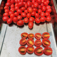 Machine à découper les tomates cerises à haute efficacité, équipement commercial de transformation des tomates