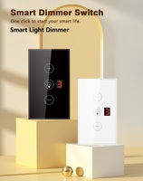 Gradateur intelligent pour ampoules LED à incandescence, Wi-Fi à un seul groupe