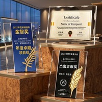 Plaque de récompense en cristal personnalisée, trophée avec logo et texte pour la reconnaissance d'entreprise