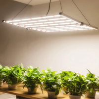 720w Dimmable Lights Sunlike Spectre complet pour les plantes d'intérieur Semis et lampes à fleurs pour tente de culture 4x4