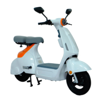 Moto électrique Streetbike 1000W 48V pour adultes avec une vitesse maximale de 50 km/h