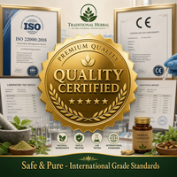 Patch de Glucosamine et Chondroïtine pour Soulager les Douleurs Articulaires, 5 pièces/boîte, Pansement Herbal de Moxibustion pour Genoux, Cou, Taille, Utilisation Universelle sur le Corps