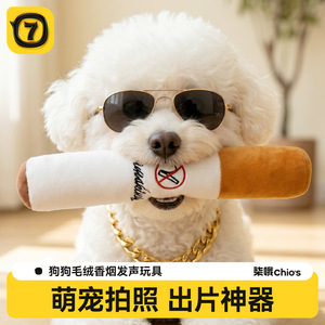 Juguete de peluche para perros con sonido de cigarrillo, juguete para mascotas de interior para perros - Product Image 3