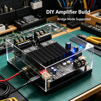 100W+100W Çift Kanallı Dijital Amplifikatör Kartı 200W Köprülenebilir Mono Subwoofer AMP DC10 ila 30V Ses Amplifikatör Modülü