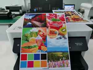 Tinta de Pigmento Compatible con Greencolor T542 113 008 009, a Base de Agua, para <span class=keywords><strong>Epson</strong></span> <span class=keywords><strong>EcoTank</strong></span> ET-5170 5800 5880 ST C8000 - Product Image 4