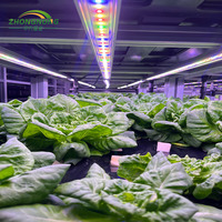 Système d'éclairage LED à spectre complet pour l'agriculture hydroponique en conteneurs, pour la culture de légumes, à vendre