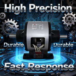 Dubbele-as elektromagnetische koppeling-remcombinatie met geïntegreerde lager/solenoïde koppeling, elektromotor voor industrieel gebruik - Product Image 6