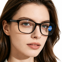 Lunettes de lecture en plastique pour hommes et femmes, verres HD, portables, prêtes à l'emploi, directement de l'usine