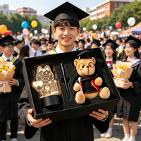 Coffret Cadeau de Remise de Diplôme en Gros avec Veilleuse, Stylo et Ours en Peluche, Fourniture en Vrac pour Écoles et Événements