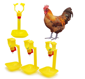 Bebedero automático colgante con tuberías <span class=keywords><strong>y</strong></span> bola <span class=keywords><strong>para</strong></span> aves, tazón <span class=keywords><strong>de</strong></span> agua, suministros <span class=keywords><strong>de</strong></span> alimentación <span class=keywords><strong>para</strong></span> <span class=keywords><strong>pollos</strong></span>, bebedero <span class=keywords><strong>de</strong></span> niple, taza <span class=keywords><strong>para</strong></span> beber <span class=keywords><strong>para</strong></span> aves <span class=keywords><strong>de</strong></span> corral - Product Image 2