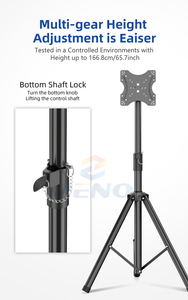 Zeno SP502-400 TV <span class=keywords><strong>Tripod</strong></span> đứng sàn di động cho hầu hết 42 "-55" Chiều cao có thể điều chỉnh OLED TV <span class=keywords><strong>Tripod</strong></span> TV đứng - Product Image 3