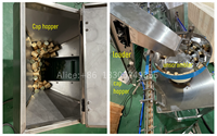 Machine d'emballage de bouteilles en verre, machine de remplissage et de bouchage pour vin, alcool, spiritueux, ligne d'embouteillage