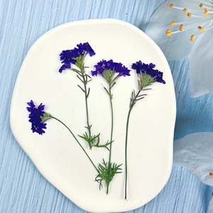 Tiges de <span class=keywords><strong>verveine</strong></span> séchées longue durée avec fleurs pressées pour moules à résine, décoration intérieure et cadeaux de fête des Mères - Product Image 4