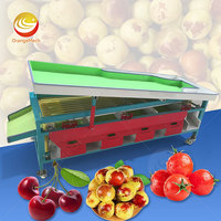 ORME Appelgroen Olijf Sorteermachine Fruit Sizer Grader Zoete Aardappel Sorteer- en Wasmachine Prijs