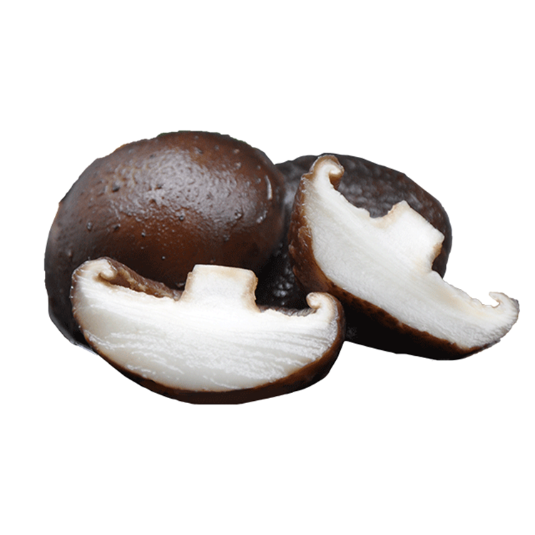 Mushroom Slice Dried Shiitake Export Dry Mushroom Dehydrated Price