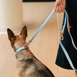 Sıcak satış canlı PVC köpek tasmaları ayarlanabilir Vegan deri tutuşunu toka küçük orta büyük köpekler için dayanıklı su geçirmez - Product Image 3