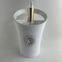 Seau à glace en plastique acrylique pour vin, bière, champagne, 5L, bar, fête