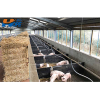 Poulet Volaille Ventilateur Porc Ferme Structure en acier Ferme Bâtiment préfabriqué Abri pour chèvres Maisons commerciales en acier Hangar à vendre