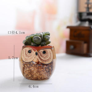 Maceta Pequeña de Cerámica con Diseño de Casa de Dibujos Animados JM, Mini Maceta para Bonsáis, Suculentas, Plantas de Interior, Juego de Macetas para Jardín - Product Image 1