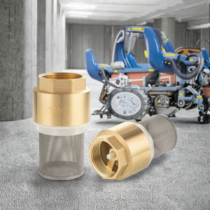 <span class=keywords><strong>Clapet</strong></span> de pied vertical en laiton manuel robuste avec filtre SS pour <span class=keywords><strong>pompe</strong></span> <span class=keywords><strong>à</strong></span> <span class=keywords><strong>eau</strong></span> - Product Image 3