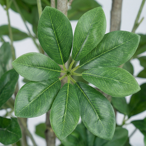 <b>Artificial</b> Green Schefflera Plant Indoor Decorative Potted <b>Tree</b> Premium Home Office Hotel Lobby Event Decoration Greenery - Product Image 2
