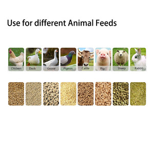 Chăn Nuôi Động Vật Thức Ăn <span class=keywords><strong>Mixer</strong></span> 100Kg 500Kg Gia Súc Thức Ăn Gà Lợn Thức Ăn Công Nghiệp Dọc <span class=keywords><strong>Mixer</strong></span> - Product Image 6