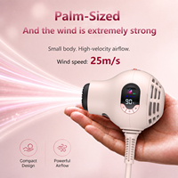 Sèche-cheveux miniature à air froid pour voyage, hôtel et usage domestique, fabriqué en Chine à Shenzhen