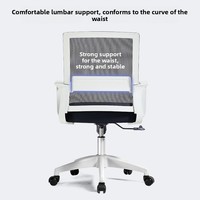 Chaise de bureau ergonomique en plastique prête à être expédiée, pivotante, réglable en hauteur, minimaliste, en mousse, pour dortoir 294